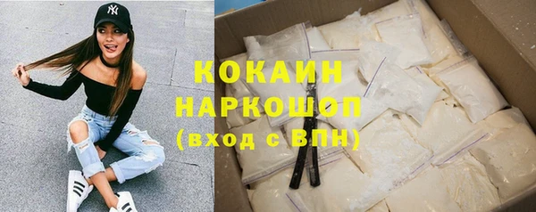 стаф Усинск