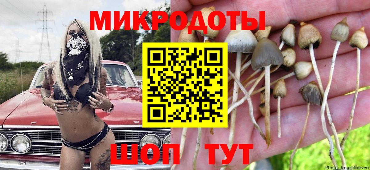 Галлюциногенные грибы MAGIC MUSHROOMS  Галлюциногенные грибы MAGIC MUSHROOMS  Краснокамск  Вход с VPN 