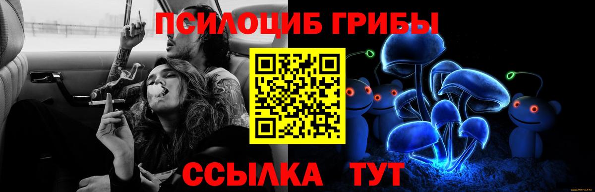 Псилоцибиновые грибы прущие грибы  Краснокамск  сколько стоит  Галлюциногенные грибы Psilocybe 